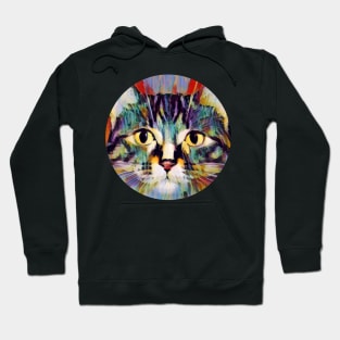 Four-Legged floppy cat Hoodie